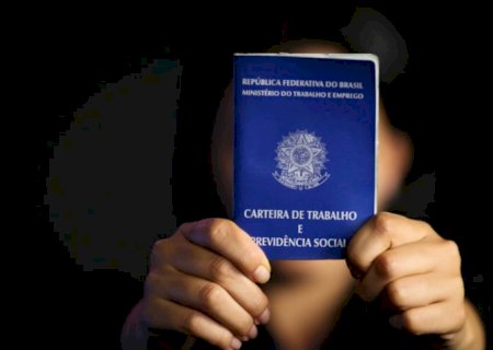 Renda domiciliar per capita sobe em 2024 e atinge R$ 2.069