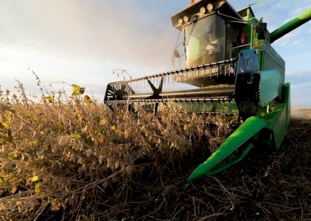 Calor prejudica lavoura de café, soja e arroz, diz especialista