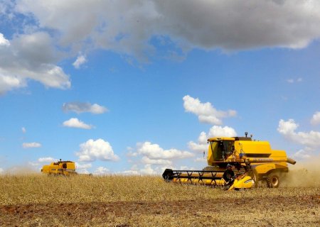 Entre o clima e a economia da soja: o que esperar do mercado do grão?