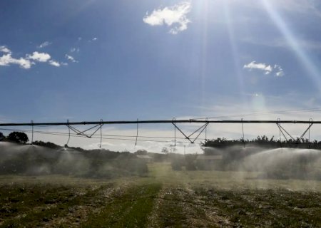 Governo publica MP com crédito extraordinário de R$ 4 bi a Plano Safra