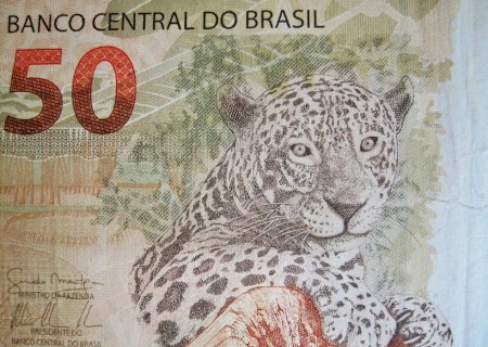 Negócios travados: confira as cotações da soja