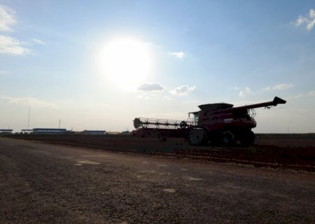 Colheita de soja atinge 39% no país ante 23% há 7 dias, diz consultoria