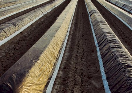 Tecnologia identifica uso de plástico na agricultura e sugere sistema de logística reversa