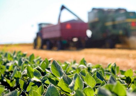 Plano Safra: entidades do agronegócio pedem previsibilidade e mais recursos