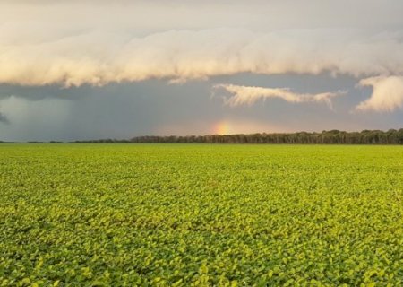 Com expectativa de recorde, colheita da soja se intensifica, e liquidez aumenta no Brasil