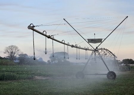 FCO aprova R$ 219,7 milhões para novos empreendimentos em MS; irrigação e citricultura são destaque 