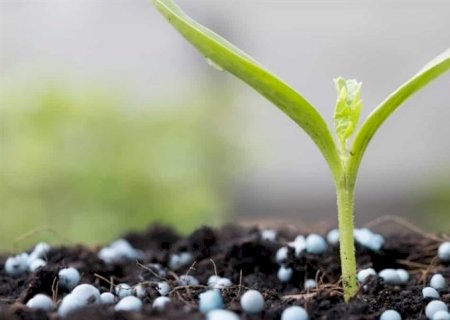 Brasil avannça  na produção de fertilizantes