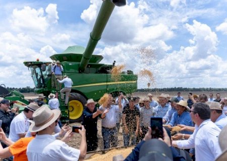 Abertura nacional da colheita da safra 24/25 destaca a produção sustentável de soja
