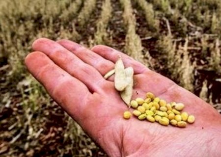 Gastos com política agrícola caíram 25% em 2024