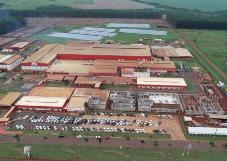 Gigante da suinocultura Aurora investirá R$ 400 milhões para ampliar indústria