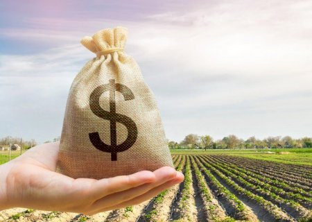 Mais de 70 mil produtores podem ter desconto nos financiamentos de custeio do Plano Safra