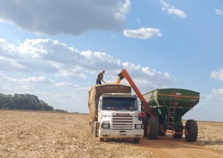 Principal commodity de MS, soja impulsiona queda dos alimentos no atacado após dez meses de alta