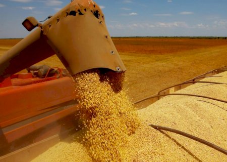 Clima e janela da safrinha puxam colheita de soja do Brasil para 39%