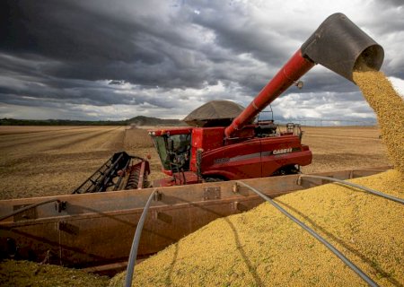Safra 2025 pode ser 11,1% maior que a do ano passado, diz IBGE