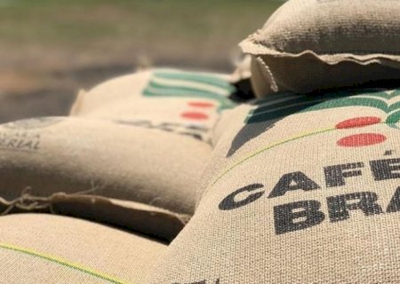 Exportadores de café deixam de embarcar quase 2 milhões de sacas em 2024