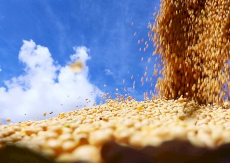 Safra e produção de petróleo devem deixar real mais valorizado, diz secretário da Fazenda