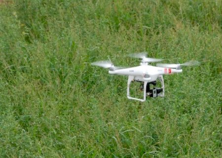 Tecnologia com drones otimiza manejo de pastagens