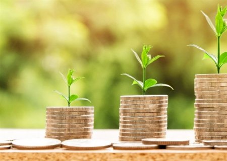 Crédito para custeio e investimentos cai no agro