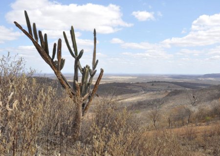 Seca 2024: pagamento de crédito rural emergencial será prorrogado