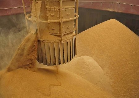 Demanda interna por milho cresce e exportações diminuem quase 30%