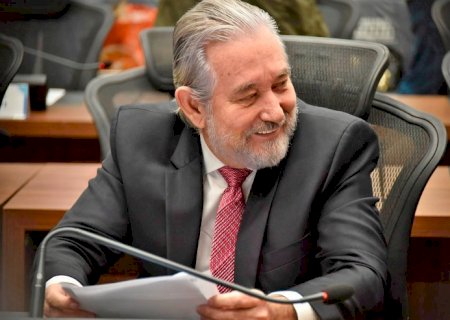 Lei: Autorizada disponibilização de exemplares da Bíblia nas escolas