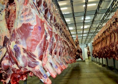 China suspende 390 frigoríficos de carne bovina dos EUA