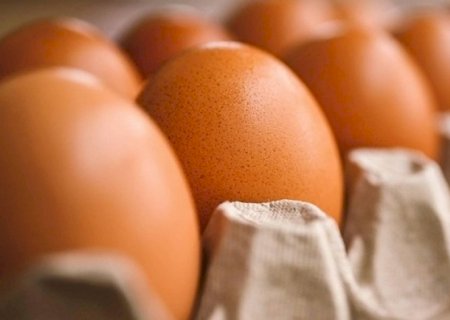 Brasil deve exportar até 35 mil t de ovos sem prejudicar mercado interno