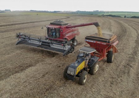 O mercado de trabalho na cadeia produtiva da soja e do biodiesel no Brasil