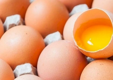 Exportações de ovos cresceram 57,5% em fevereiro; EUA comprou 93,4% a mais | Brasilagro