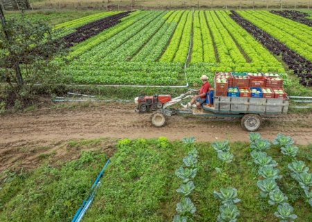 Pacote de medidas do governo desestimula a produção rural brasileira, diz SRB