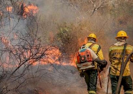 Governo Federal, MS e MT se unem para enfrentar incêndios no Pantanal