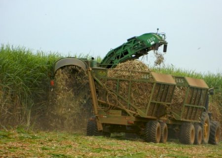 Apesar do superávit de US$ 3 bi, agro paulista recua 25% em relação ao ano passado
