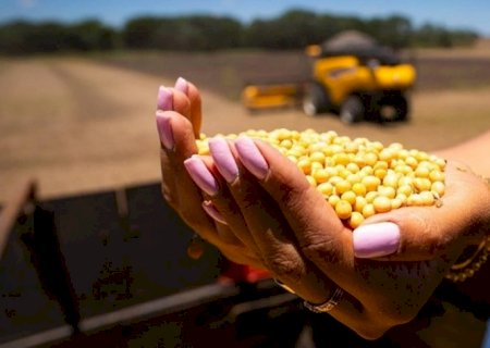 Preços pagos ao produtor rural aumentaram apenas 0,3% em 2024