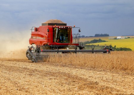 Colheita de soja ultrapassa 60% no Brasil; saiba qual o estado mais avançado