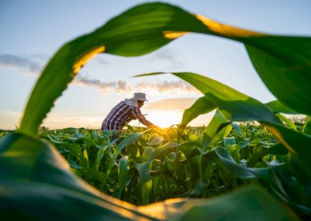 Agronegócio diversifica atuação e amplia oportunidades de trabalho