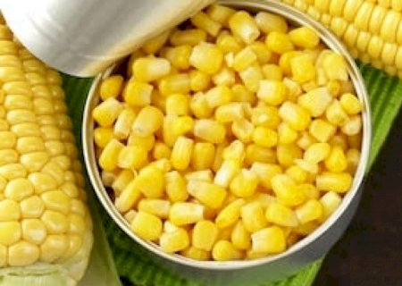 Produção global de milho deve aumentar em 2025/26
