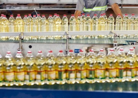 Exportações brasileiras de óleo de soja voltam a crescer em fevereiro