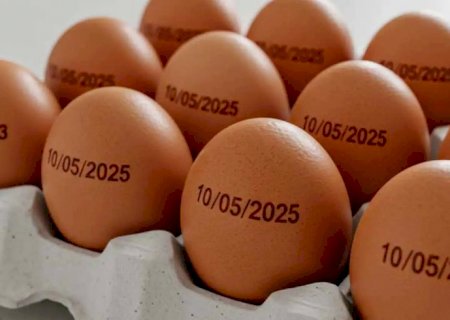 País tem recorde na produção de ovos, abate de bovinos, frango e porco