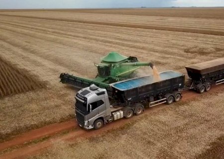 Até os centavos: estudo calcula preço das emissões de carbono na agropecuária