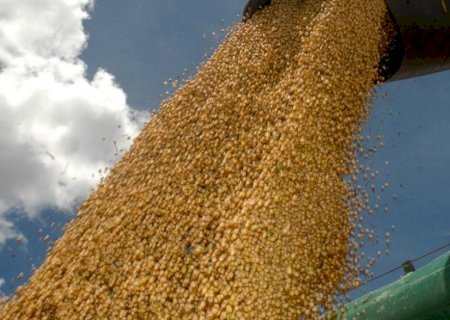 Colheita de soja ultrapassa 70% da área esperada