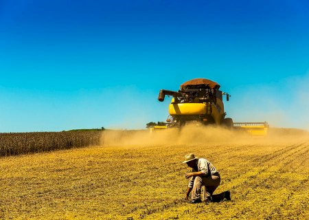 Chuvas reduzem o ritmo da colheita de soja; saiba como está o andamento no Brasil