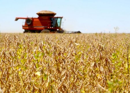 O mercado de trabalho na cadeia produtiva da soja e do biodiesel no Brasil