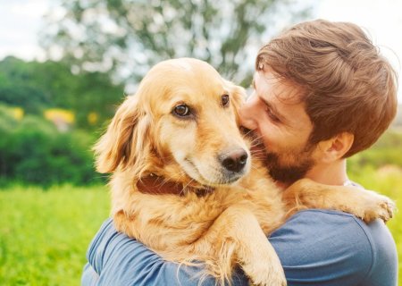 Saiba como melhorar a conexão emocional com o seu cão