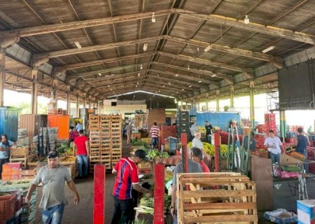 Com R$ 850 milhões comercializados no ano passado, Ceasa-MS reafirma importância na economia local
