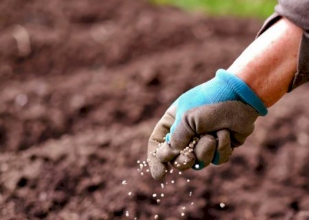 Entregas de fertilizantes caem 0,5% em 2024