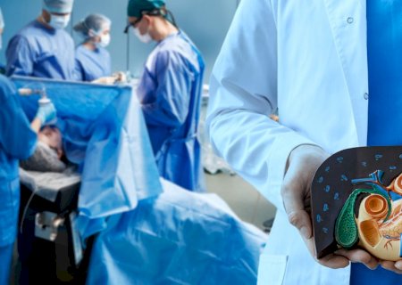 Inédito: fígado suíno geneticamente modificado é usado em transplante humano