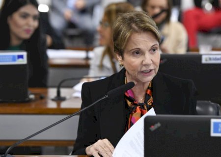 Senado decide se torna Pantanal Sul-Mato-Grossense patrimônio nacional