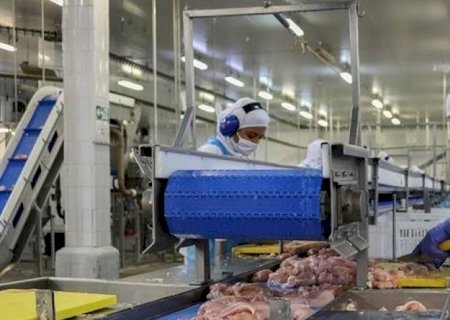 Brasil e Japão fecham acordo que garante exportação de frango