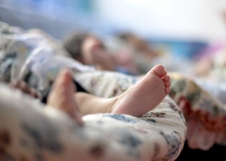 Inseminação caseira não é catalogada pelo ministério da Saúde