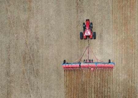 Mercado de soja apresenta recuo; saiba as cotações pelo Brasil